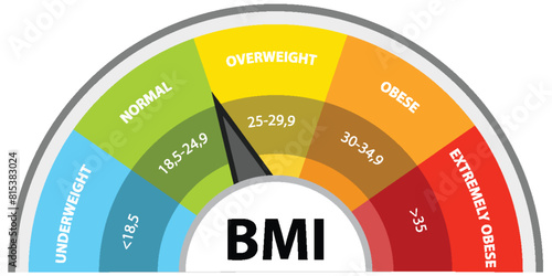 Colorful BMI gauge showing weight categories