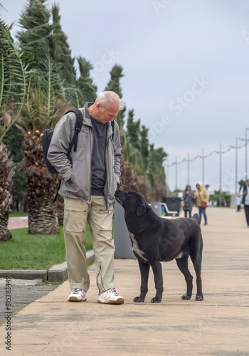 A tourist pets a stray dog that has come to him on the street. The need of animals for human love and care.