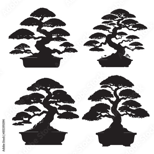 bonsai tree silhouette on white background