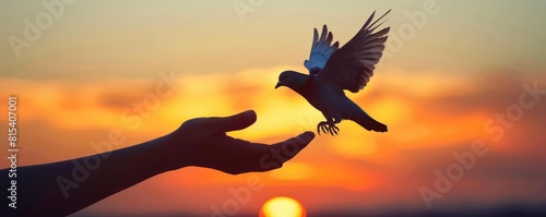 releasing a dove into a golden sunset, a powerful metaphor for peace and freedom photo