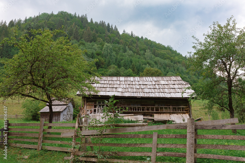 Mysticism and mystery of the Ukrainian Carpathian forest