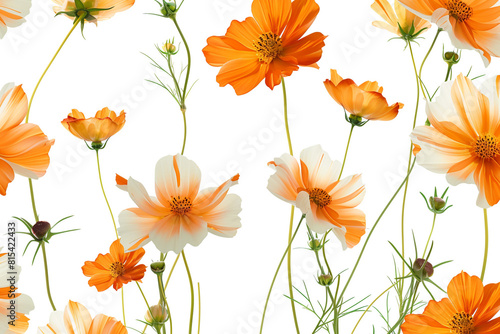 seamless floral background © Muhammad