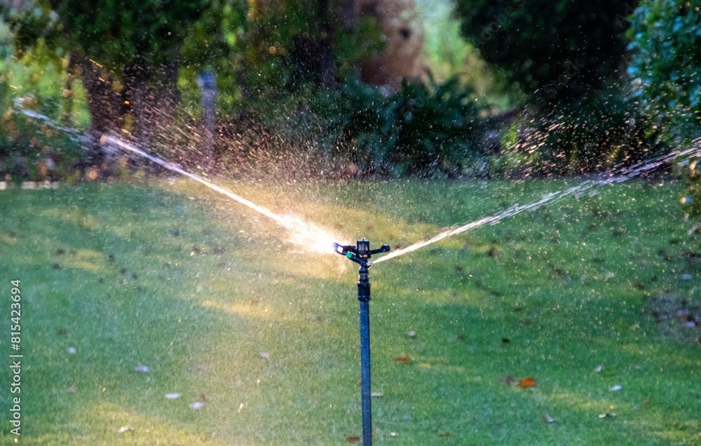 Naklejka premium A water sprayer silhouetted against the early morning sun watering an out of focus garden
