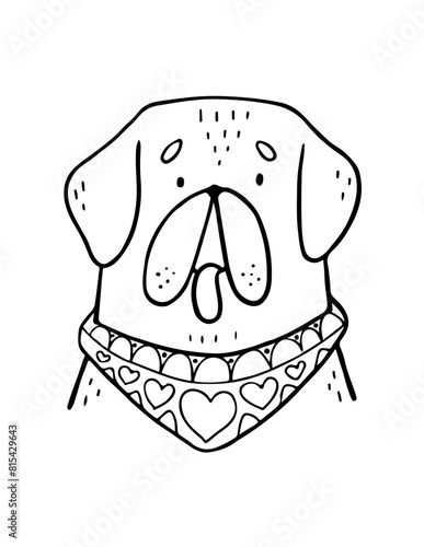 black silhouettes of stylized dogs with folk patterns and natural decorations. Vector black prints of puppys with a tribal boho pattern.