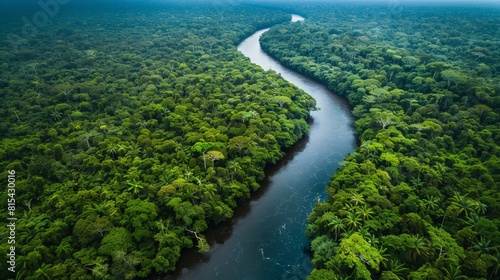 Aerial view of the Amazon Rainforest in Brazil, with its dense green canopy, winding rivers, and diverse wildlife. 
