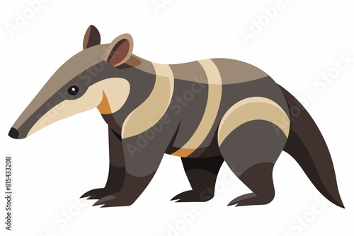 anteater cartoon vector illustration