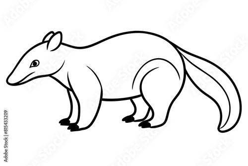 anteater line art silhouette illustration © Shiju Graphics