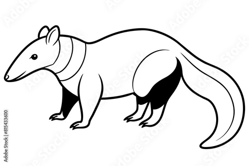 anteater line art silhouette illustration