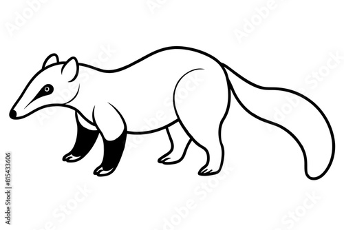 anteater line art silhouette illustration