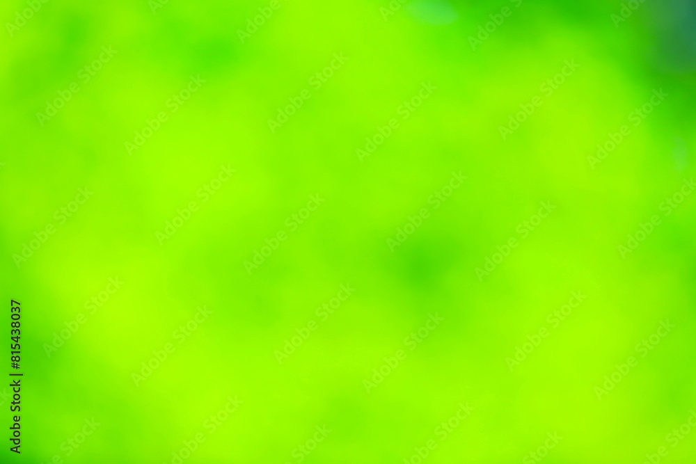 緑の背景イメージ 緑の背景イメージ