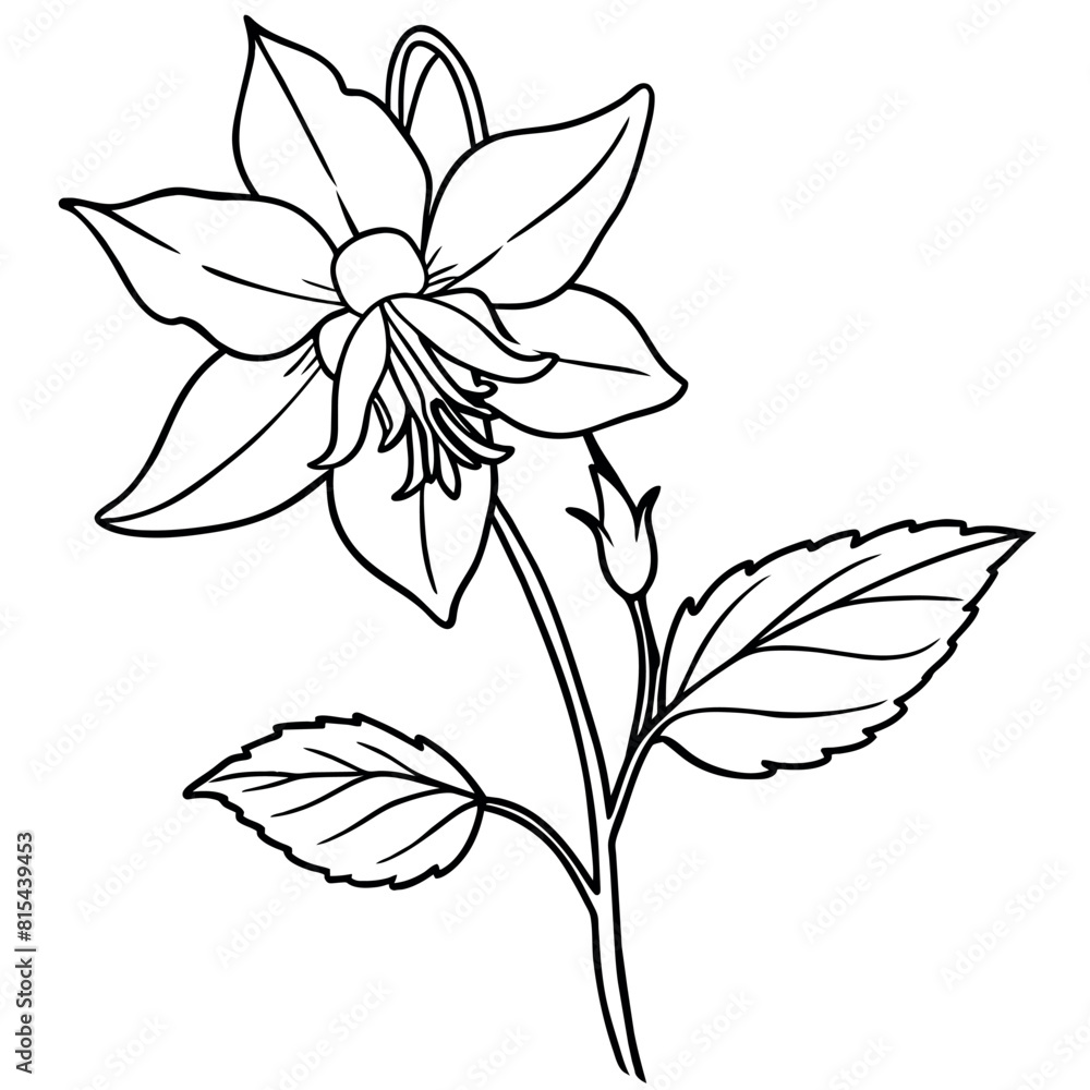 Columbine flower outline illustration coloring book page design, Columbine flower black and white line art drawing coloring book pages for children and adults
Columbine flower outline illustration coloring book page design, Columbine flower black and white line art drawing coloring book pages for children and adults