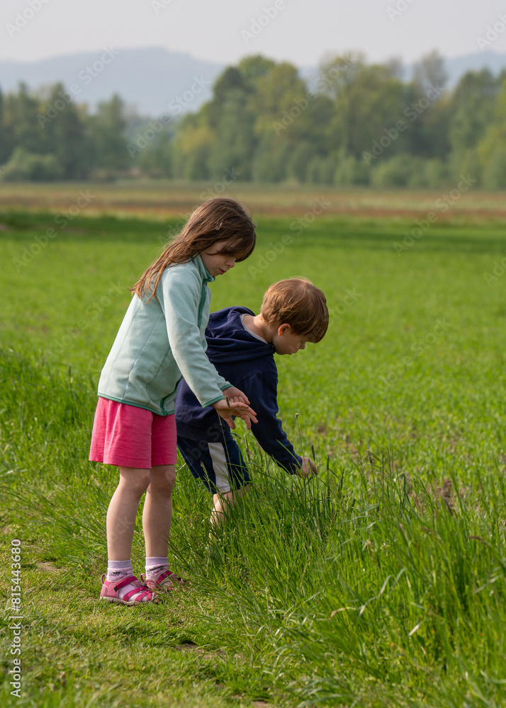 Cute little children, a boy and a girl, play in the fresh air, in nature. They spend time in a meadow with green fresh grass, collecting spikelets and various flowers. Cute little children, a boy and a girl, play in the fresh air, in nature. They spend time in a meadow with green fresh grass, collecting spikelets and various flowers.