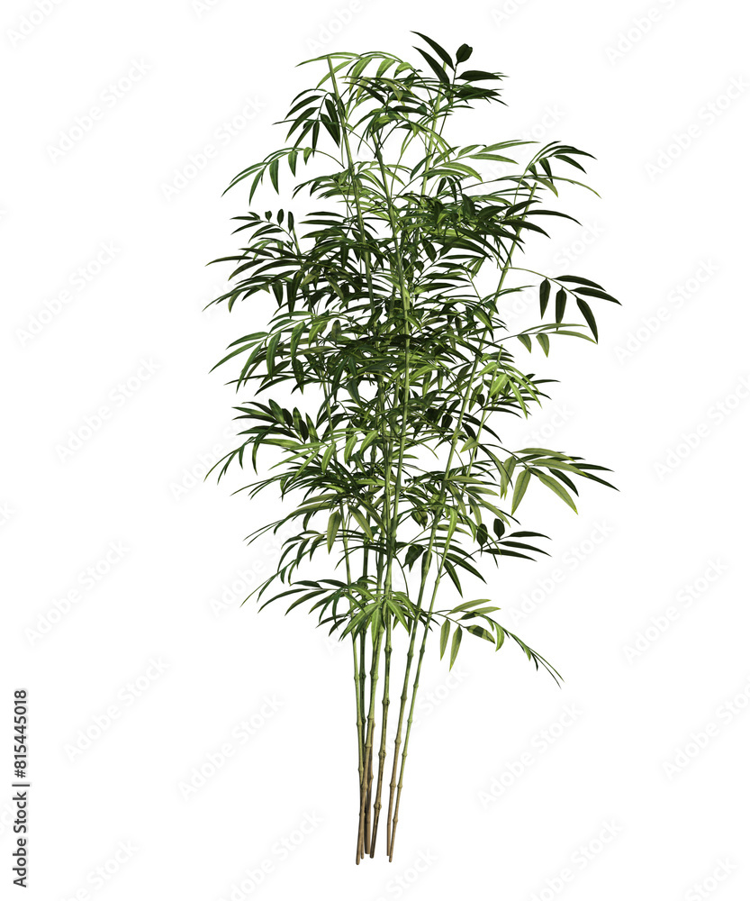 Naklejka premium Pianta albero fusto con e senza vaso Albero con e senza foglie arancioni, verdi, gialle, rosse fondo trasparente e isolato cactus 