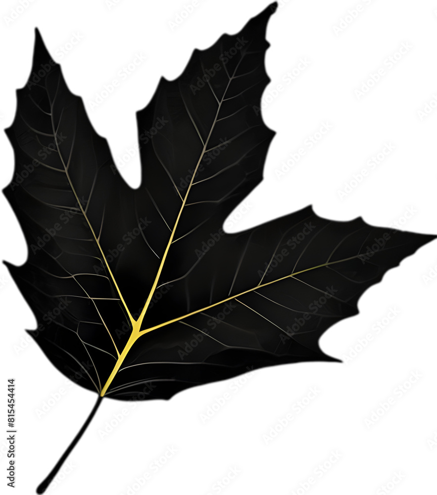 Obraz premium An image of a stylized leaf.
