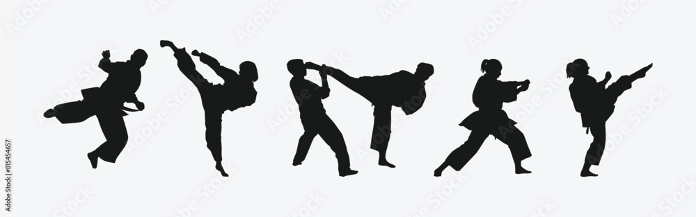 Set of silhouettes of karateka, male and female athletes. Martial arts, competition, fighting. Different pose, movement on isolated background. Vector illustration.