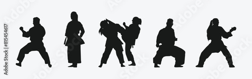 Set of silhouettes of karateka  male and female athletes. Martial arts  competition  fighting. Different pose  movement on isolated background. Vector illustration.