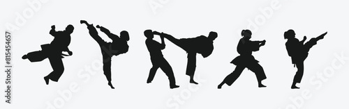 Set of silhouettes of karateka, male and female athletes. Martial arts, competition, fighting. Different pose, movement on isolated background. Vector illustration.