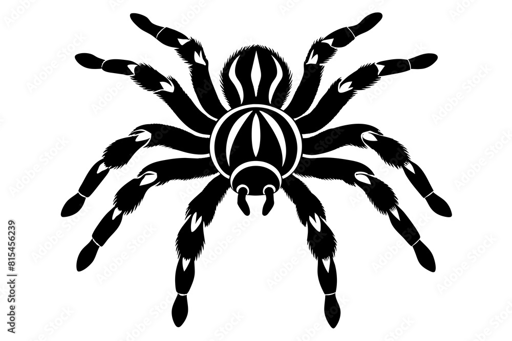 tarantula line art silhouette illustration tarantula line art silhouette illustration