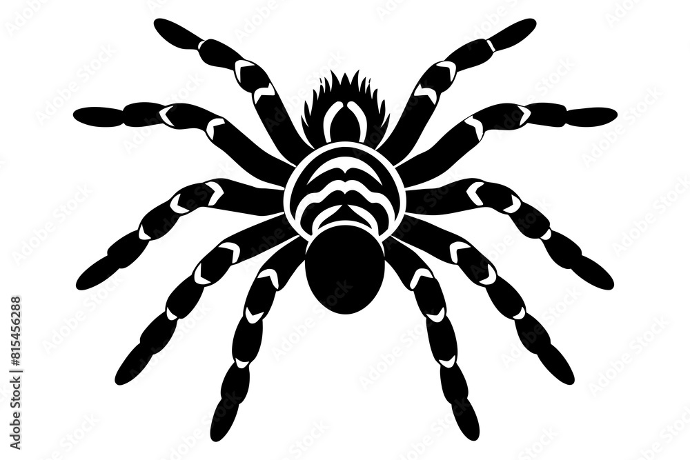 tarantula line art silhouette illustration tarantula line art silhouette illustration