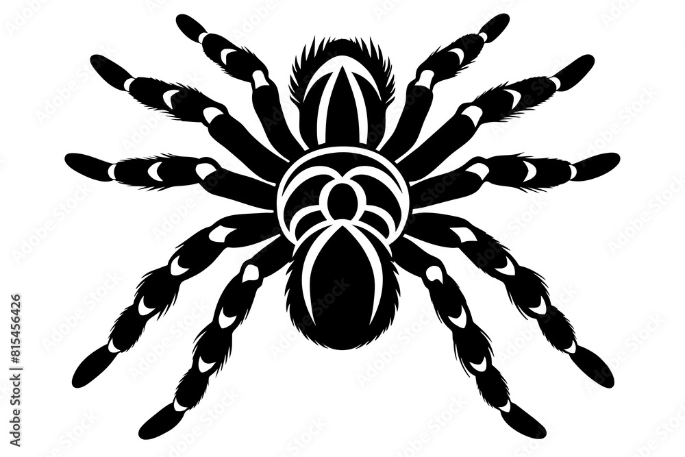 tarantula line art silhouette illustration tarantula line art silhouette illustration
