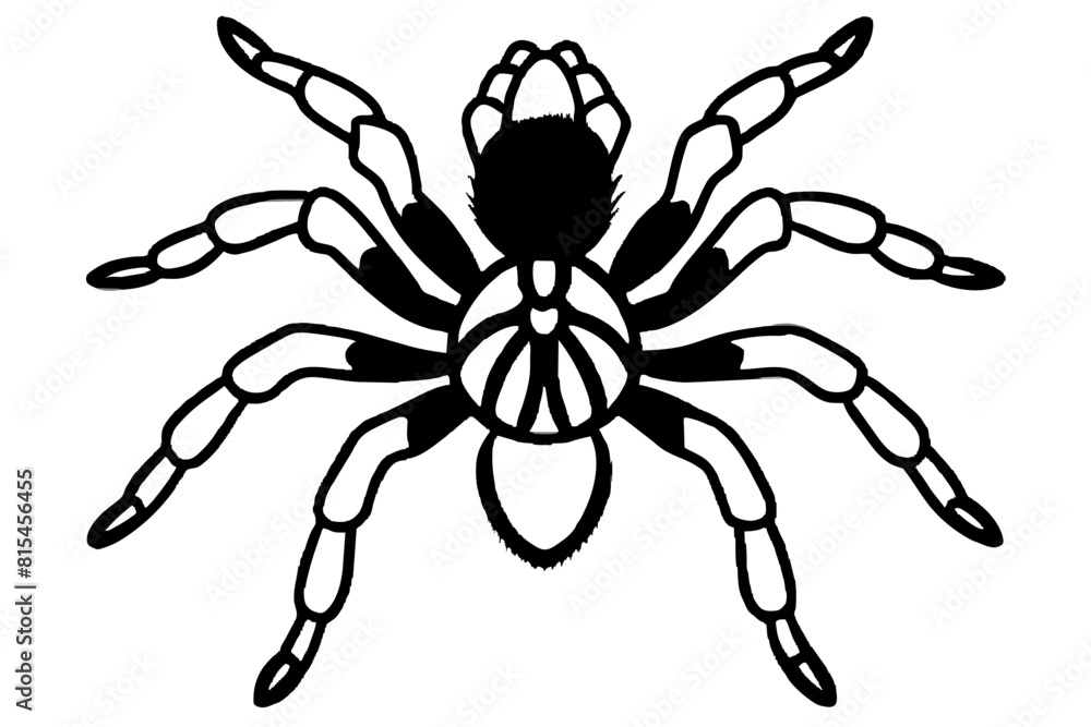 tarantula line art silhouette illustration tarantula line art silhouette illustration