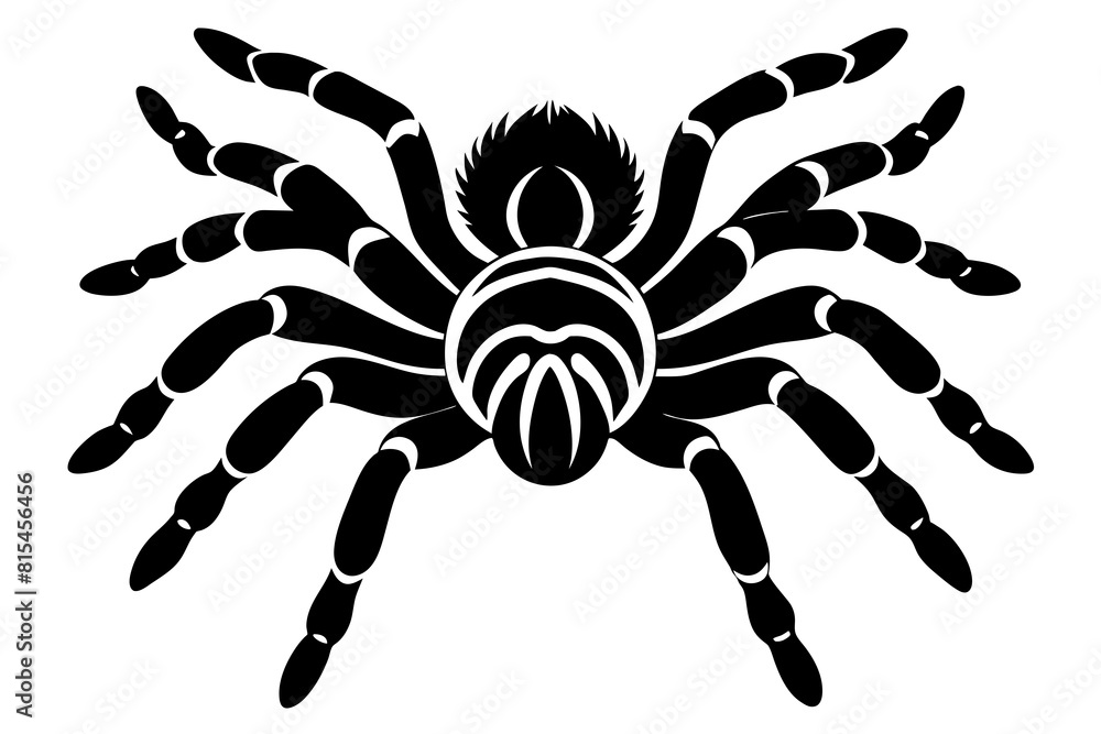 tarantula line art silhouette illustration tarantula line art silhouette illustration
