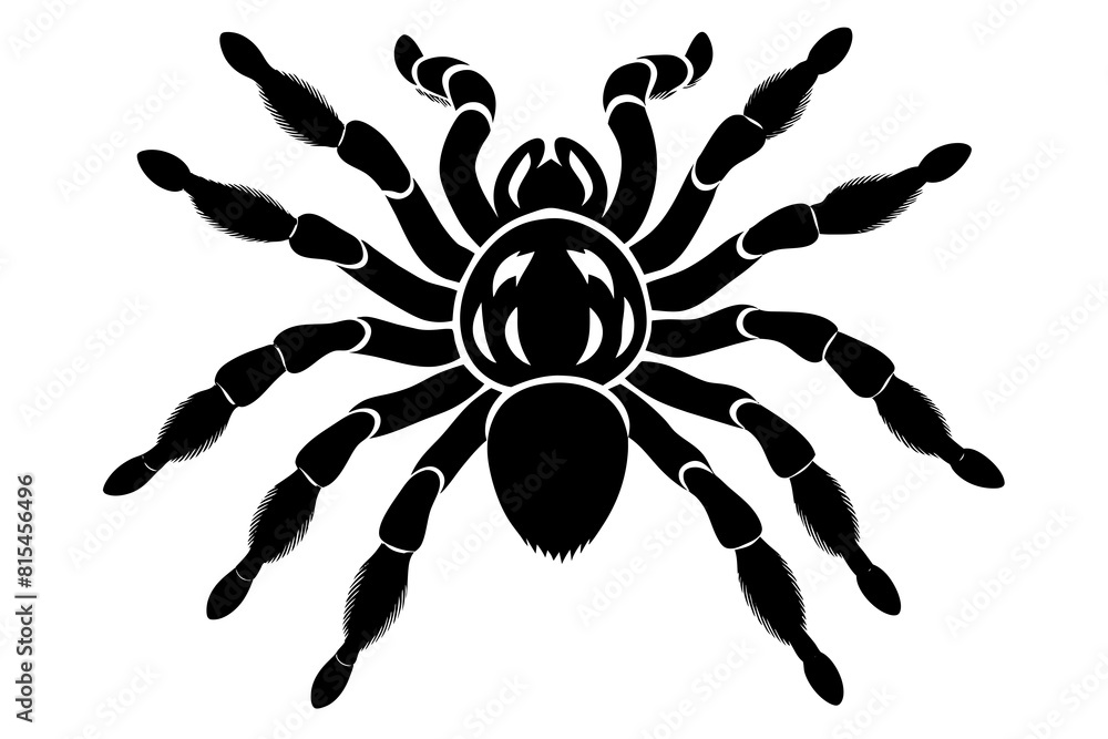 tarantula line art silhouette illustration tarantula line art silhouette illustration