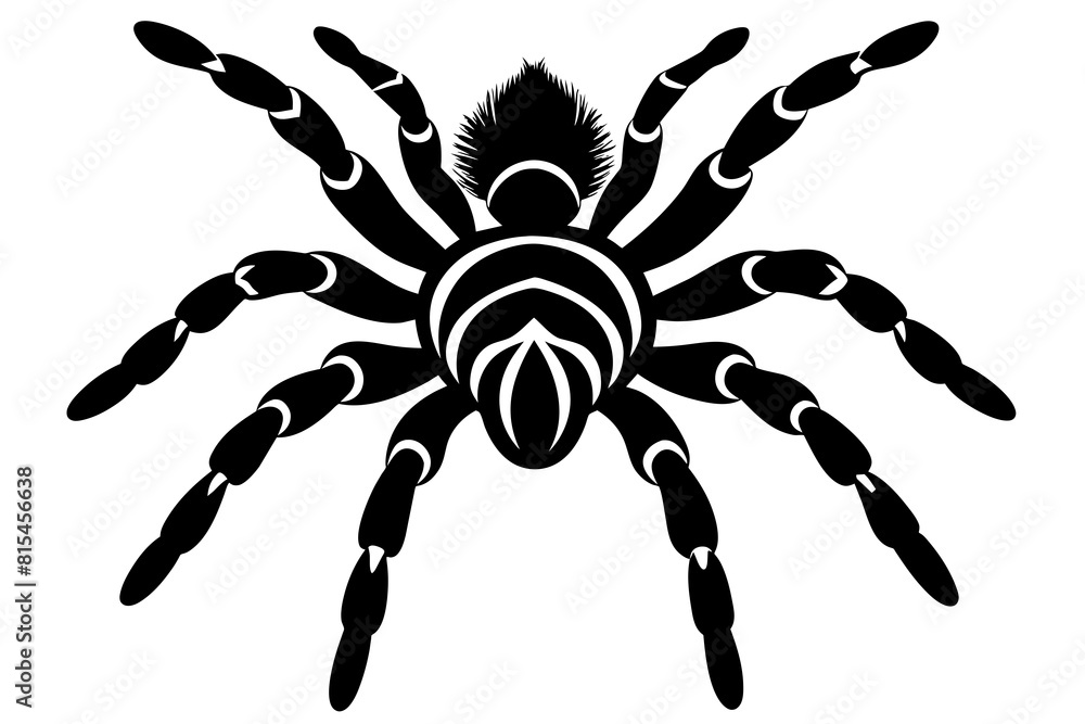 tarantula line art silhouette illustration tarantula line art silhouette illustration