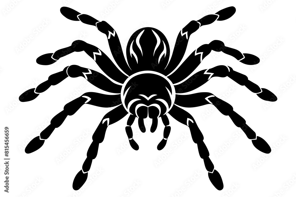 tarantula line art silhouette illustration tarantula line art silhouette illustration