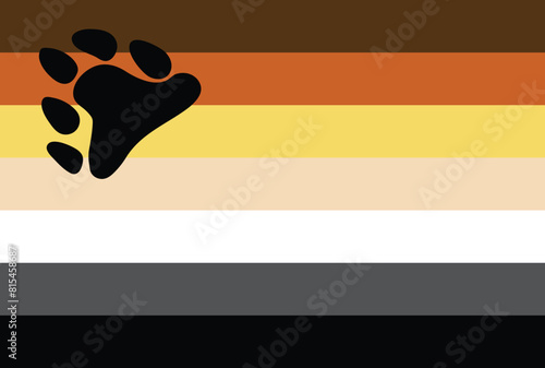 Bear pride flag in vector format