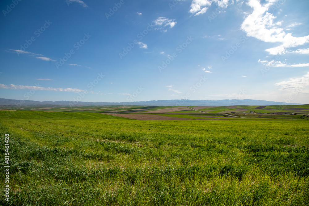 A large, open field with a clear blue sky