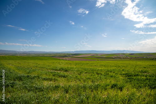 A large  open field with a clear blue sky