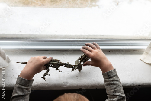 hild pretending with realistic dinosaur skeleton models on window sill photo