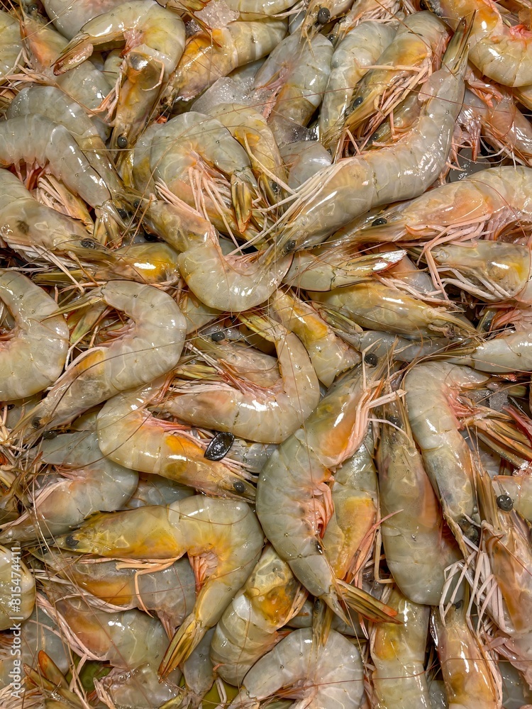 fresh shrimps on the market.this photo was taken from Bangladesh. fresh shrimps on the market.this photo was taken from Bangladesh.