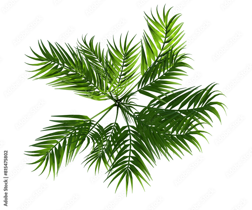 Pianta albero fusto con e senza vaso Albero con e senza foglie arancioni, verdi, gialle, rosse fondo trasparente e isolato cactus
Pianta albero fusto con e senza vaso Albero con e senza foglie arancioni, verdi, gialle, rosse fondo trasparente e isolato cactus