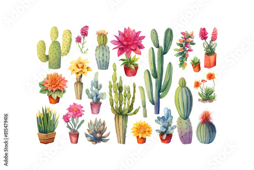 Watercolor collection of potted cacti and succulents. Vector illustration design.