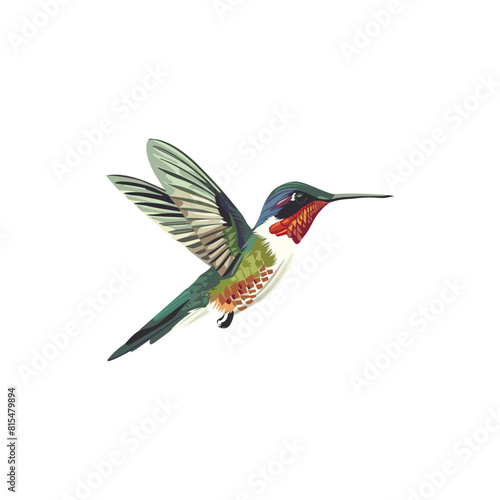 Vibrant Hummingbird in Flight. Vector illustration design. © John Design