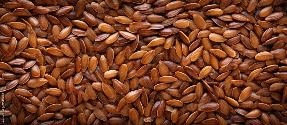 Healthy organic flax seeds known for their high omega 3 content captured in a top view image with copy space Healthy organic flax seeds known for their high omega 3 content captured in a top view image with copy space