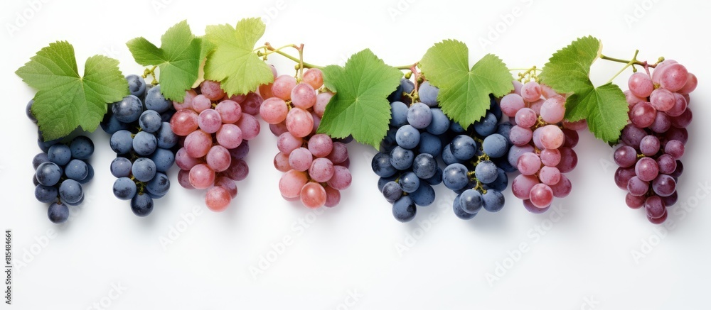 A layout of green pink and blue grapes with leaves isolated on a white background The image includes copy space for your text to be added A layout of green pink and blue grapes with leaves isolated on a white background The image includes copy space for your text to be added