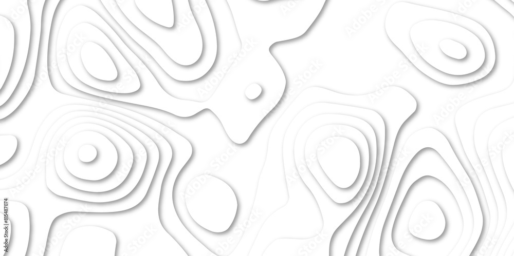 Abstract white paper cut background with lines. Background of the topographic map. Vector white geometric 3d papercut wave carve line element. topographic canyon map light relief texture.
