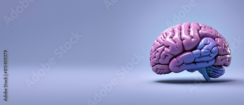 3D rendered human brain in shades of purple and blue with solid background