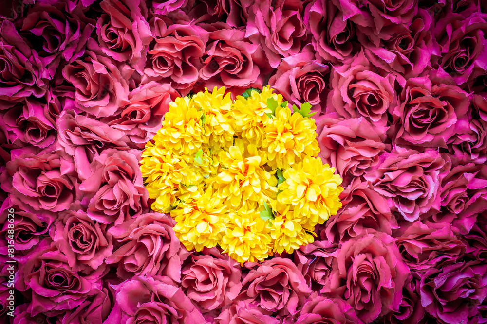 the roses background and the yellow flower inside with dramatic tone the roses background and the yellow flower inside with dramatic tone