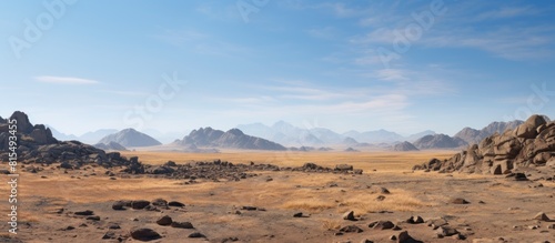 A rocky region amid wilderness under a cloudless sky with ample space for placing an image