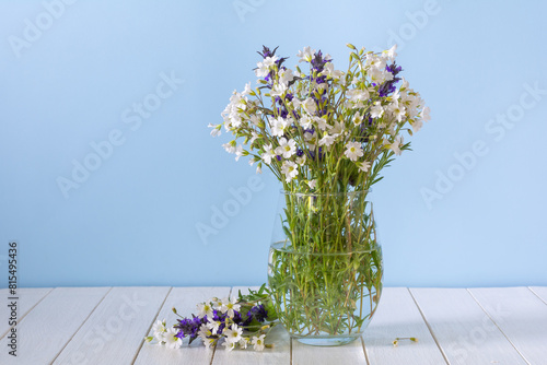 Bouquet of white wildflowers in a glass vase. Stellaria holostea