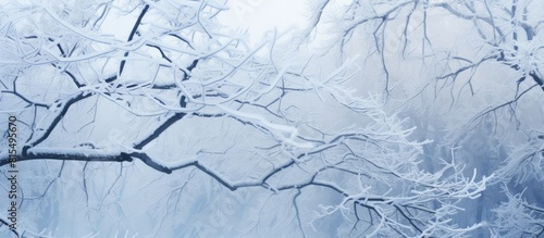 Snow covered frozen branches Copy space image