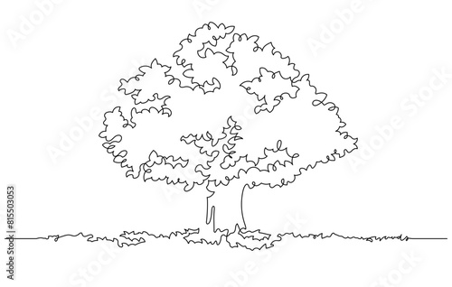 continuous line drawing of big tree illustration