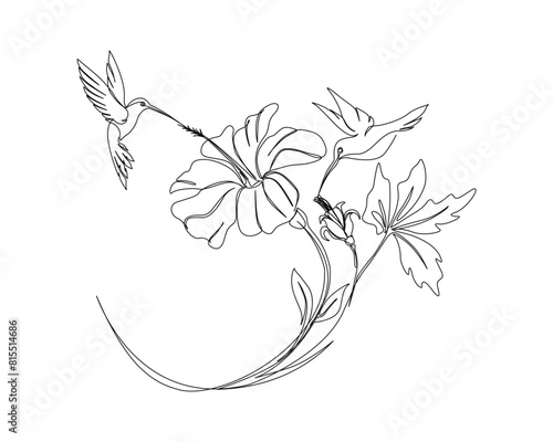 Continuous one line drawing of hummingbird with hibiscus flowers. Hummingbird is sucking the nectar out single outline vector design. Editable stroke.
