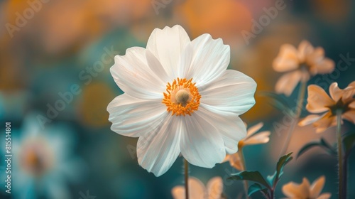 Macro shot of a white flower on a nature themed backdrop with a lovely array of soft hues