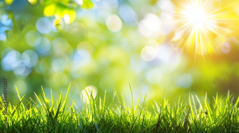 Fototapeta premium Abstract spring, summer grass meadow field. Beautiful fresh nature landscape environment.