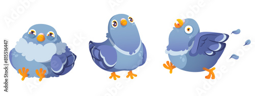 Comic pigeon characters set isolated on white background. Vector cartoon illustration of cute sleepy dove sitting, standing, running, scared big eyes, feather flying in air, funny mascots design